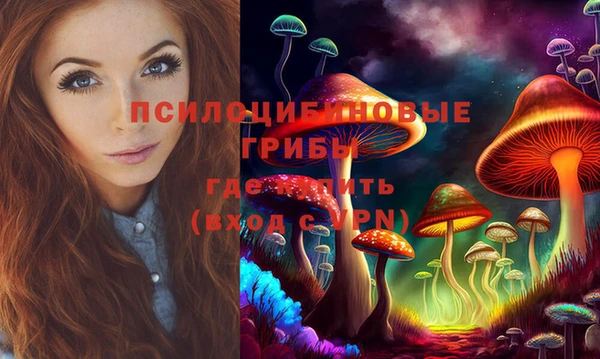 дурь Алексин