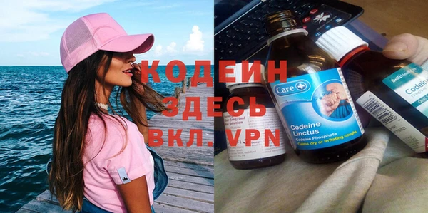 дурь Алексин