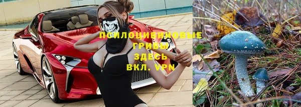 гидропоника Алексеевка