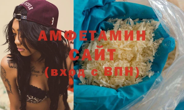 индика Алзамай